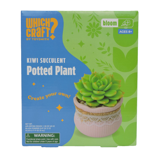 Kiwi Succulent Potted Plant