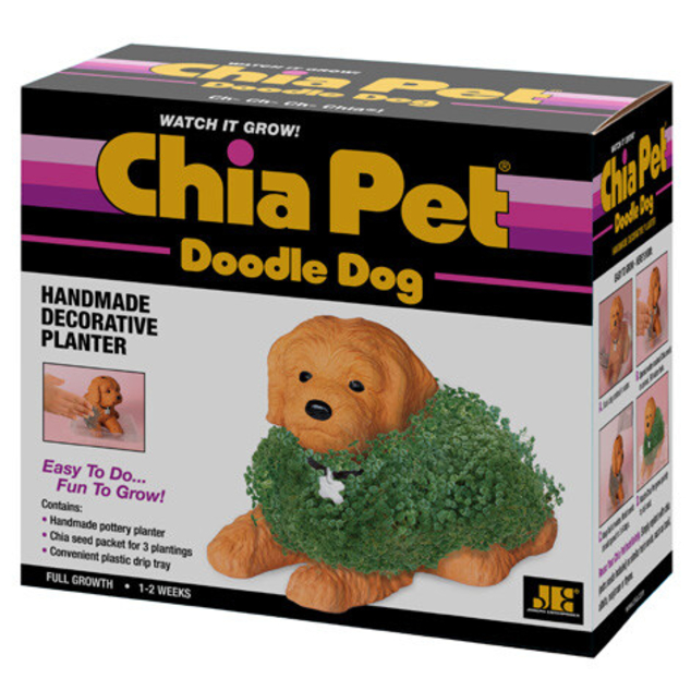 Chia Pet Golden Doodle Dog