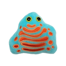Golgi Appartus