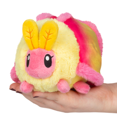 Snacker Rosy Maple Moth