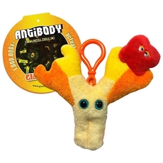 Antibody key chain