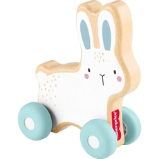 Wooden Push Along Bunny