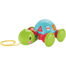 Pull-Along Turtle