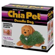 Chia Pet Golden Doodle Dog
