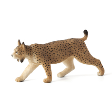Iberian Lynx