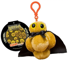 MRSA key chain