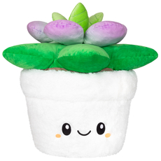 Squishable Succulent (PROMO2)
