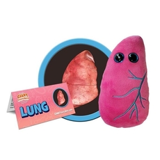 Lung